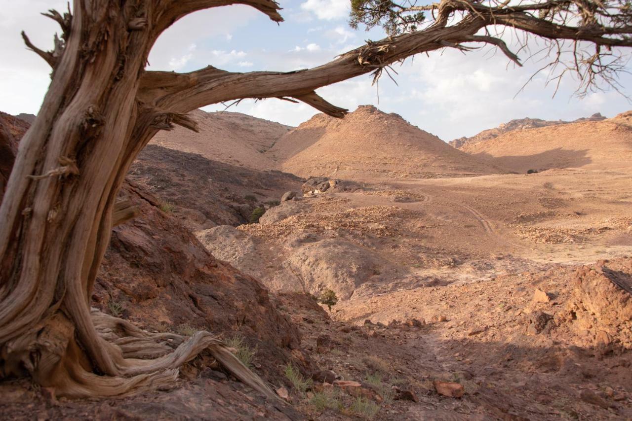 瓦迪穆萨Bedouin Pink Ecohouse住宿加早餐旅馆 外观 照片