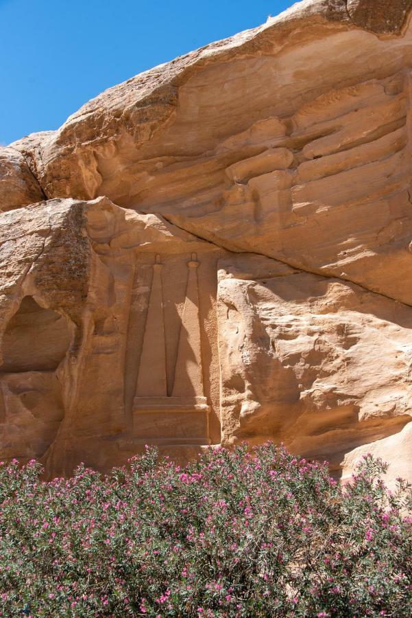 瓦迪穆萨Bedouin Pink Ecohouse住宿加早餐旅馆 外观 照片
